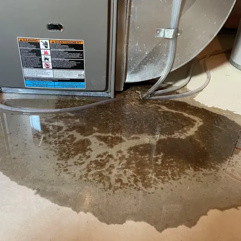 Appliance Leak Cleanup in Fox Lake, IL